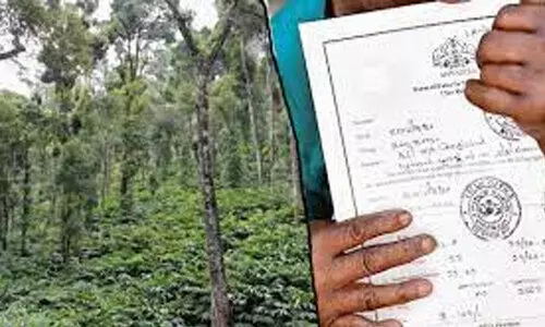 മലമ്പണ്ടാരം വിഭാഗത്തിൽപ്പെട്ട 20 കുടുംബങ്ങൾക്ക് ഒരേക്കർ ഭൂമി