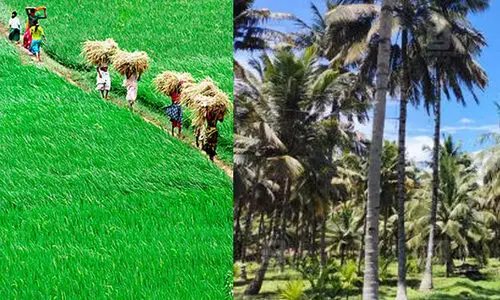 നെൽവയൽ തണ്ണീർത്തട നിയമം: രണ്ടു വർഷത്തേക്ക് ജീവനക്കാരെ നിയമിക്കാൻ ഉത്തരവ്