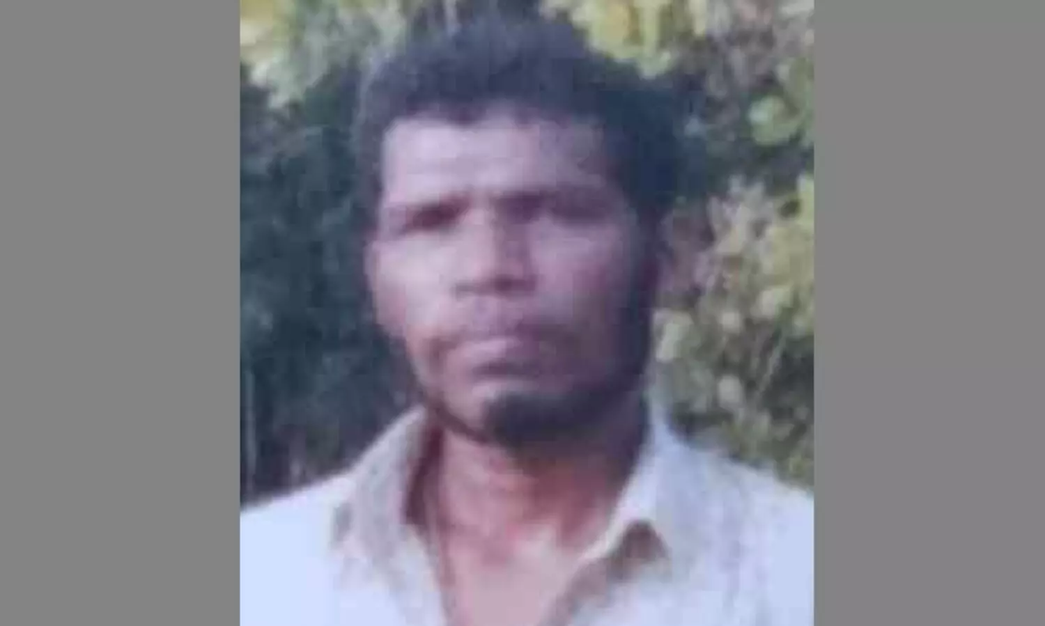 മരത്തിൽനിന്ന് വീണ് യുവാവിന് ദാരുണാന്ത്യം