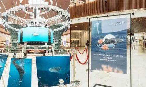 പ​രി​സ്ഥി​തി മ​ന്ത്രാ​ല​യം നേ​തൃ​ത്വ​ത്തി​ൽ മാ​ൾ ഓ​ഫ് ഖ​ത്ത​റി​ൽ സം​ഘ​ടി​പ്പി​ച്ച ബോ​ധ​വ​ത്ക​ര​ണ കാ​മ്പ​യി​നി​ൽ നി​ന്ന്