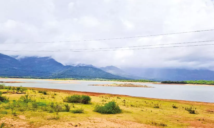 മഴക്കുറവ്: മലമ്പുഴ ഡാമിലെ ജലനിരപ്പ് കുത്തനെ താഴുന്നു