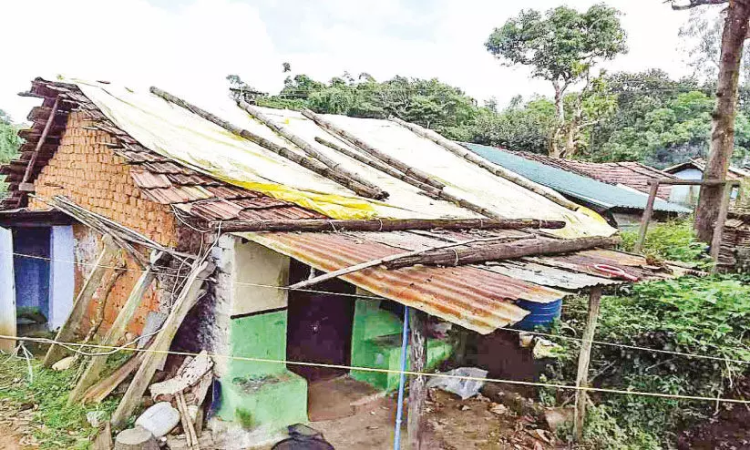 പറമ്പിക്കുളം പി.എ.പി കോളനി;  കൈവശാവകാശ രേഖക്കായി   അഞ്ചു പതിറ്റാണ്ടിന്റെ കാത്തിരിപ്പ്
