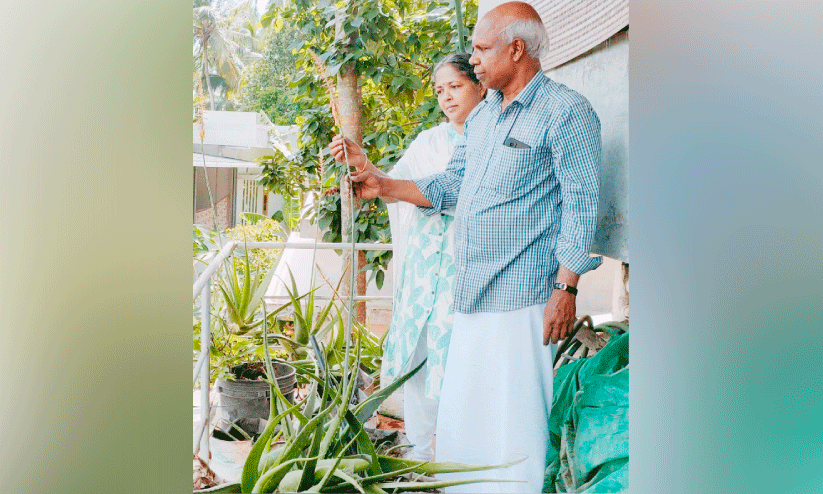 ഈ ഹരിത ഭവനത്തിൽ പൂത്തുലഞ്ഞ കറ്റാർവാഴ അപൂർവ കാഴ്ചയായി ഈ ഹരിത ഭവനത്തിൽ പൂത്തുലഞ്ഞ കറ്റാർവാഴ അപൂർവ കാഴ്ചയായി