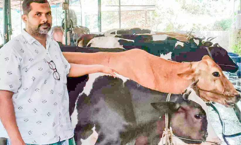 ഇനിയൽപം പാൽ കാര്യമാകാം ഇനിയൽപം പാൽ കാര്യമാകാം