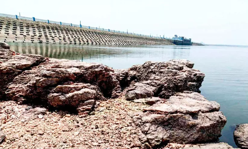 മഴക്കുറവ്; മുല്ലപ്പെരിയാറും വൈഗയും വറ്റുന്നു