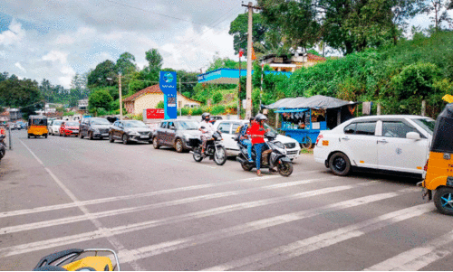 നീലഗിരിയിലേക്ക് വരുന്ന ടൂറിസ്റ്റുകളെ പൊലീസ് ബുദ്ധിമുട്ടിക്കുന്നതായി പരാതി