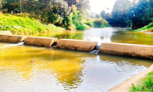 തടയണകൾ ജലസമൃദ്ധം; ഉപയോഗപ്പെടുത്താൻ നടപടിയില്ല തടയണകൾ ജലസമൃദ്ധം; ഉപയോഗപ്പെടുത്താൻ നടപടിയില്ല