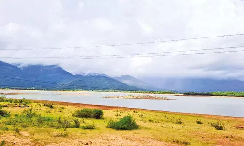 മഴക്കുറവ്: മലമ്പുഴ ഡാമിലെ ജലനിരപ്പ് കുത്തനെ താഴുന്നു