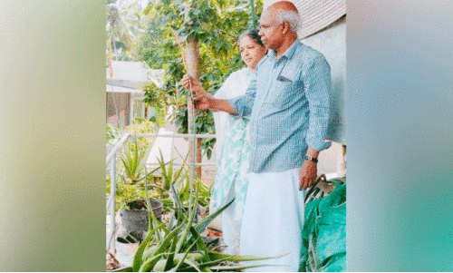 ഈ ​ഹ​രി​ത ഭ​വ​ന​ത്തി​ൽ പൂ​ത്തു​ല​ഞ്ഞ ക​റ്റാ​ർ​വാ​ഴ അ​പൂ​ർ​വ കാ​ഴ്ച​യാ​യി