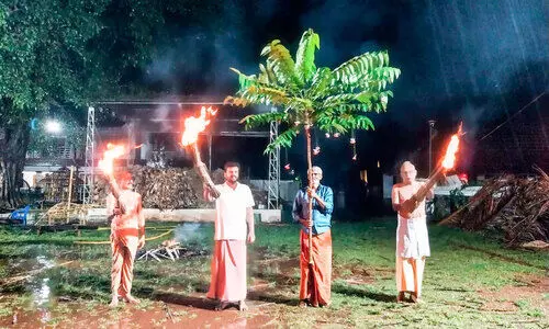 നീലംപേരൂർപൂരം പടയണി; കളത്തിൽ കുടപ്പൂമരം എത്തി