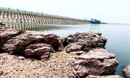 മഴക്കുറവ്; മുല്ലപ്പെരിയാറും വൈഗയും വറ്റുന്നു