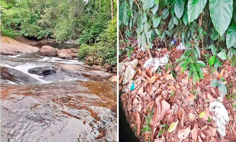 കുറിച്യർമല മനോഹരം വെള്ളച്ചാട്ടം; വില്ലനായി മാലിന്യ നിക്ഷേപം കുറിച്യർമല മനോഹരം വെള്ളച്ചാട്ടം; വില്ലനായി മാലിന്യ നിക്ഷേപം