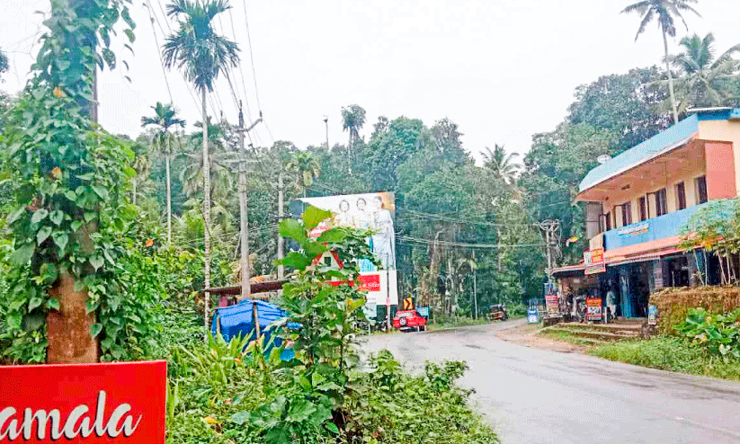 കാടുമൂടി സൂചന ബോർഡുകൾ കാടുമൂടി സൂചന ബോർഡുകൾ