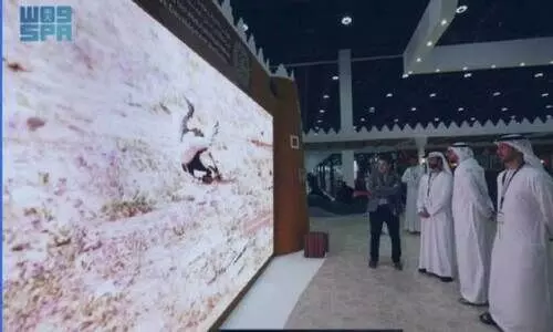 അ​ഡി​ഹെ​ക്സി​ലെ  സൗ​ദി പ​വ​ലി​യ​ന്‍