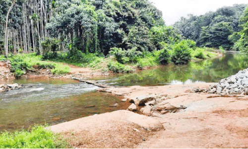 തറക്കല്ലിട്ട് എട്ട് മാസം; പാലം കടക്കാതെ മുത്തൻതണ്ട്