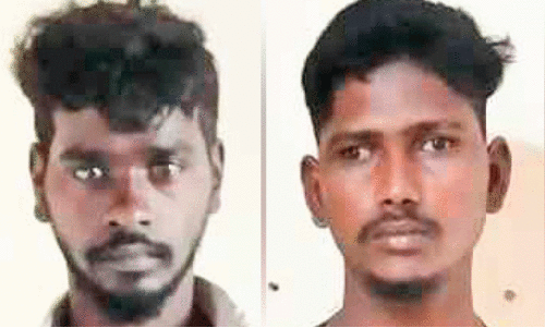 മ്ലാവിനെ കൊന്ന് ഇറച്ചി കടത്തി;  രണ്ട് യുവാക്കൾ അറസ്റ്റിൽ