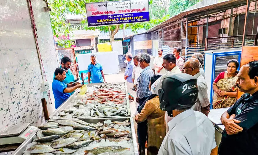 ഹിറ്റായി തെക്കേക്കരയിലെ  ‘ലൈവ്​ മത്സ്യമാർക്കറ്റ്​ ’