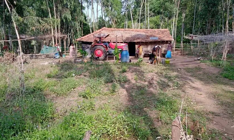 പൊലീസ് സഹായത്തോടെ നാളെ കുടിയിറക്കുമോയെന്ന ആശങ്കയിൽ അട്ടപ്പാടിയിലെ ആദിവാസി കുടുംബം