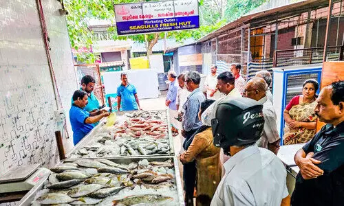ഹിറ്റായി തെക്കേക്കരയിലെ  ‘ലൈവ്​ മത്സ്യമാർക്കറ്റ്​ ’