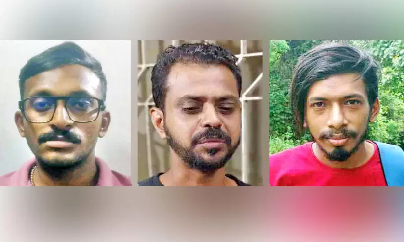 കൂരാച്ചുണ്ടിൽ വീണ്ടും ലഹരി വേട്ട; മൂന്നു പേർ അറസ്റ്റിൽ