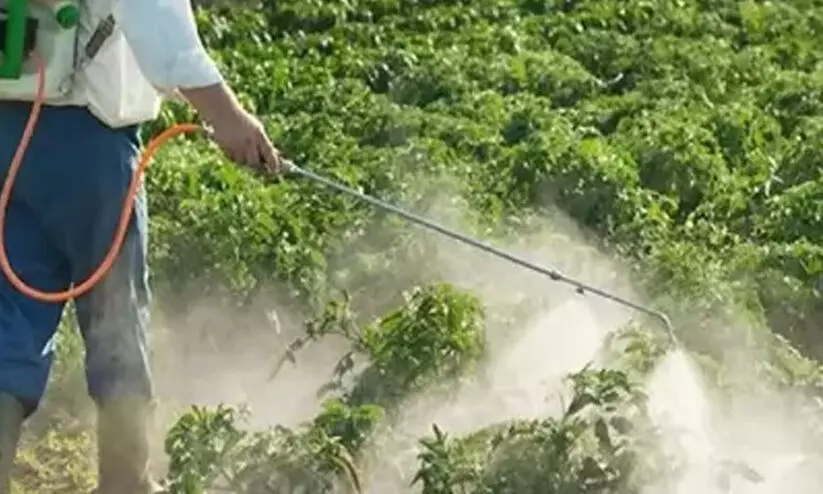 ഓണം കഴിഞ്ഞു; എന്ഡോസള്ഫാന് ദുരിതബാധിത പെന്ഷനും ആശ്വാസകിരണം സഹായധനവും ലഭ്യമായില്ല ഓണം കഴിഞ്ഞു; എന്ഡോസള്ഫാന് ദുരിതബാധിത പെന്ഷനും ആശ്വാസകിരണം സഹായധനവും ലഭ്യമായില്ല