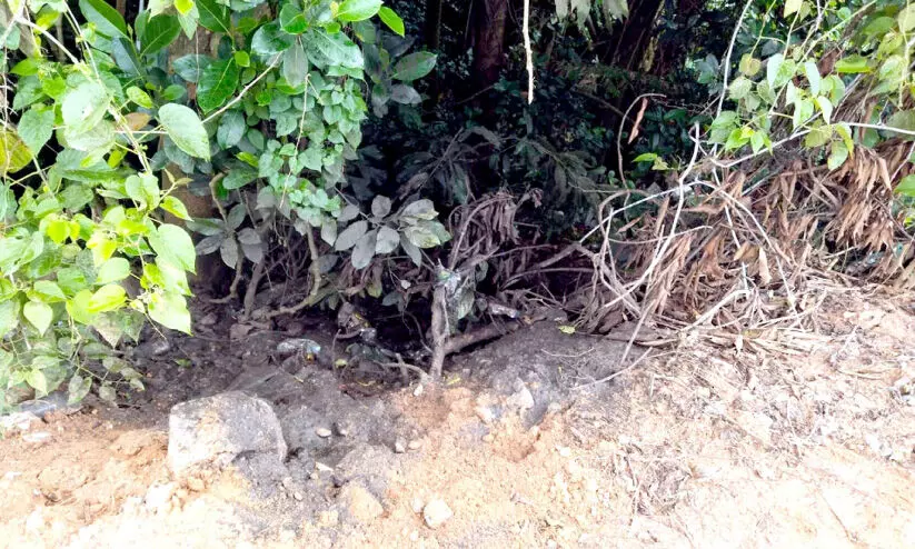 പാതയോരത്ത് കക്കൂസ് മാലിന്യം തള്ളി