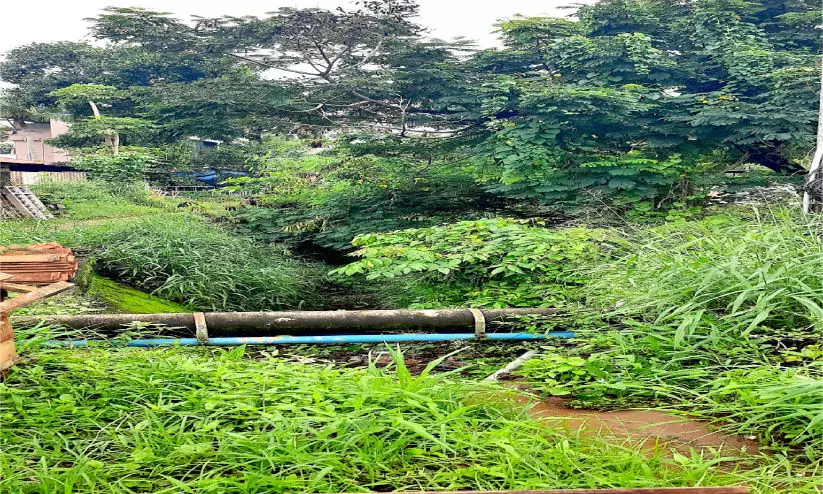 കനാലുകൾ കാടുകയറുന്നത്​ ഭീഷണി: ഇ​വി​ടം ഇ​ഴ​ജ​ന്തു​ക്ക​ളു​ടെ താ​വ​ള​മാ​യി മാ​റി