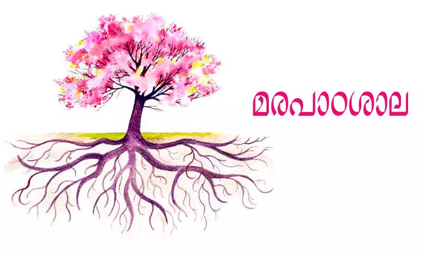 മരപാഠശാല മരപാഠശാല