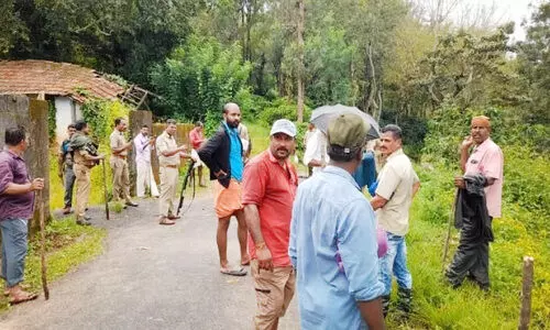 തിരച്ചിൽ ഒരു കടുവക്ക്; കണ്ടത് നാലെണ്ണത്തെ