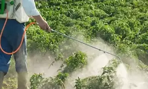 ഓണം കഴിഞ്ഞു; എന്ഡോസള്ഫാന് ദുരിതബാധിത പെന്ഷനും ആശ്വാസകിരണം സഹായധനവും ലഭ്യമായില്ല ഓണം കഴിഞ്ഞു; എന്ഡോസള്ഫാന് ദുരിതബാധിത പെന്ഷനും ആശ്വാസകിരണം സഹായധനവും ലഭ്യമായില്ല