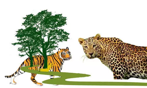 വന്യജീവികളുടെ ആവാസ കേന്ദ്രമായി തോട്ടങ്ങൾ വന്യജീവികളുടെ ആവാസ കേന്ദ്രമായി തോട്ടങ്ങൾ