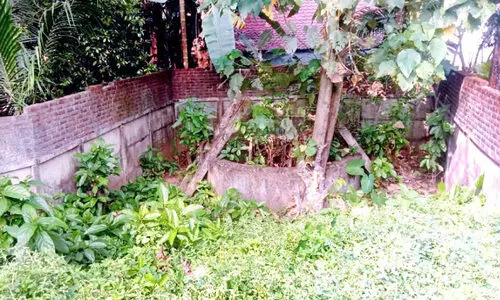 കരുവന്നൂര്‍ ബംഗ്ലാവ് ഒമ്പതുമുറി കോളനിയിൽ കുടിവെള്ളത്തിന് നെട്ടോട്ടം