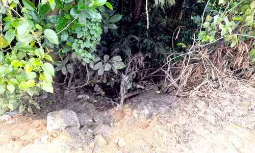 പാതയോരത്ത് കക്കൂസ് മാലിന്യം തള്ളി