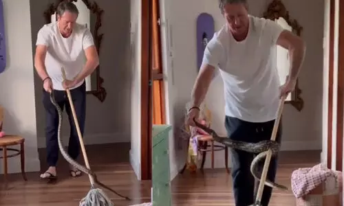 ബൗൾ ചെയ്യുന്നതിൽ മാത്രമല്ല, പാമ്പിനെ പിടിക്കുന്നതിലും വിദഗ്ധൻ; വീട്ടിലെത്തിയ ‘അതിഥി’യെ കൈകാര്യം ചെയ്യുന്ന വിഡിയോ പങ്കുവെച്ച് മഗ്രാത്ത്