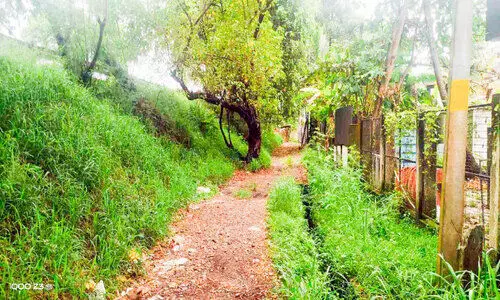 തിരക്കേറി അരൂർ-കുമ്പളം പാലത്തിൽ അടിപ്പാതക്ക്​ ആവശ്യം വീണ്ടും ശക്തം