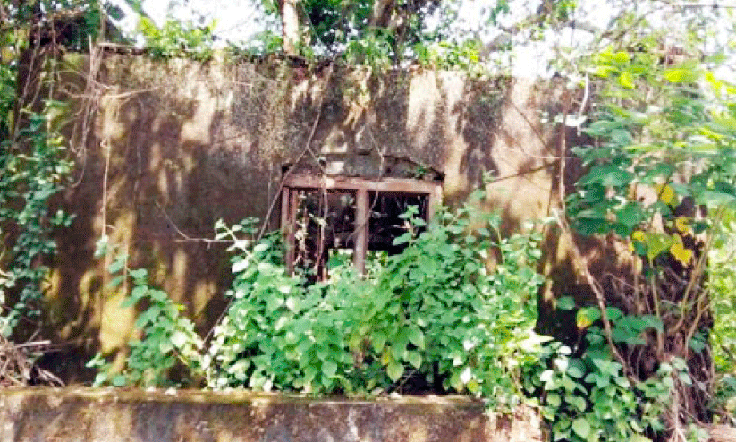 കാടുമൂടി നശിച്ച് ഇരിയ ബ്രിട്ടീഷ് ബംഗ്ലാവ്