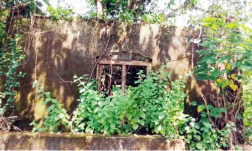 കാടുമൂടി നശിച്ച് ഇരിയ ബ്രിട്ടീഷ് ബംഗ്ലാവ്