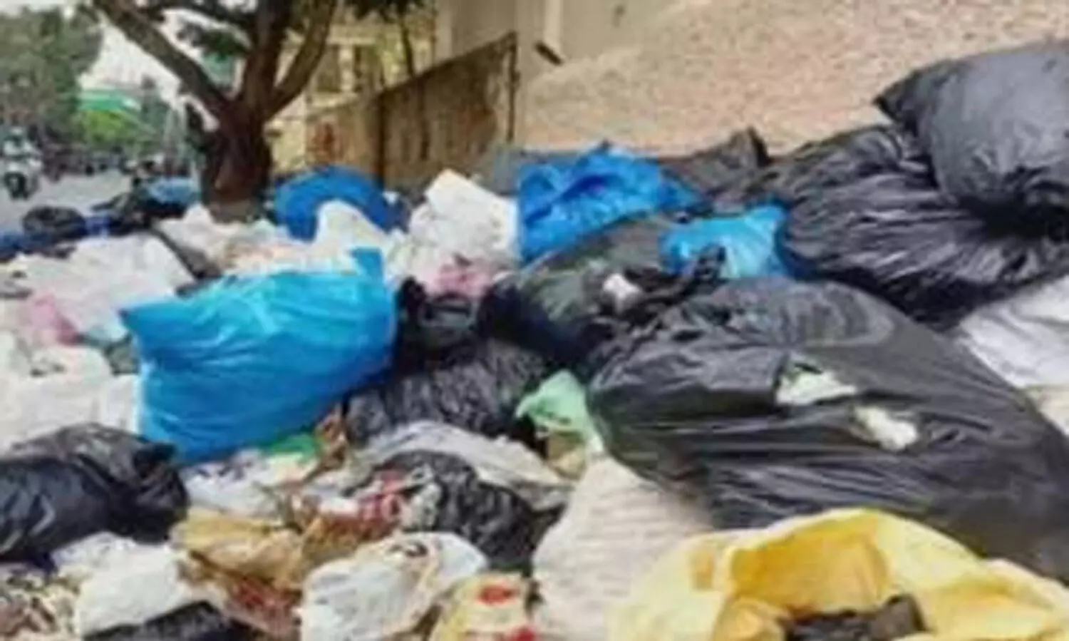 മാലിന്യ മുക്തമാക്കാൻ ഗ്രന്ഥശാല പ്രവർത്തകർ