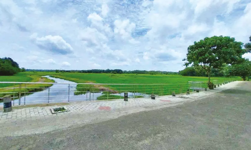 കൃ​ഷി​ക്കൊ​രു​ങ്ങി  കൊ​ര​ട്ടി​ച്ചാ​ൽ പാ​ട​ശേ​ഖ​രം