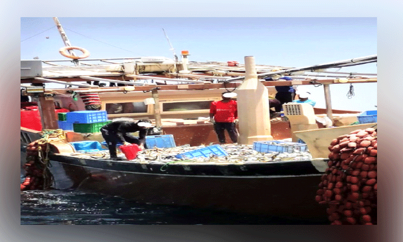 അ​ന​ധി​കൃ​ത മ​ത്സ്യ​ബ​ന്ധ​നം;     ഒമാനിൽ വി​ദേ​ശി​ക​ള്‍ അ​റ​സ്റ്റി​ൽ