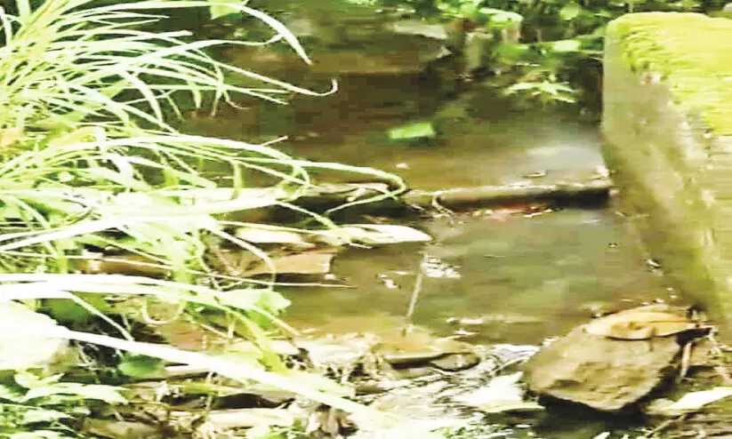 ശങ്കരമംഗലത്തിനും തെക്കുംമുറിക്കുമിടയിൽ കുടിവെള്ള പൈപ്പ് പൊട്ടി വെള്ളം പാഴാകുന്നു ശങ്കരമംഗലത്തിനും തെക്കുംമുറിക്കുമിടയിൽ കുടിവെള്ള പൈപ്പ് പൊട്ടി വെള്ളം പാഴാകുന്നു