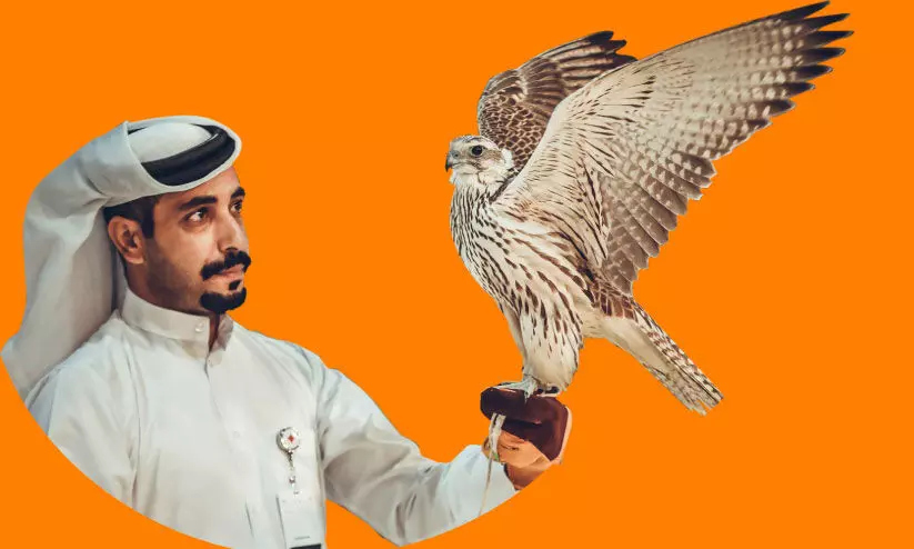 international falcon show international falcon show