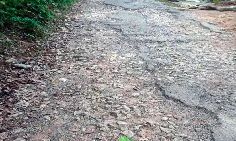 വയ്യക്കാവ്-പള്ളിത്തടം റോഡ് തകര്ന്നിട്ട് വർഷങ്ങൾ വയ്യക്കാവ്-പള്ളിത്തടം റോഡ് തകര്ന്നിട്ട് വർഷങ്ങൾ