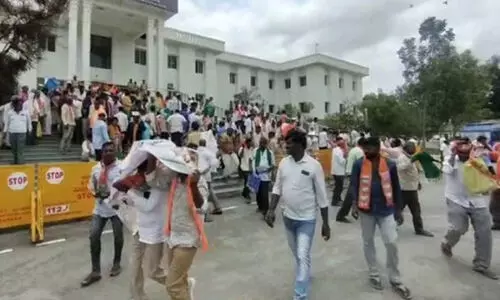 ബി.ജെ.പി പ്രതിഷേധത്തിനിടെ തേനിച്ചകളുടെ ആക്രമണം, എം.പി അടക്കമുള്ളവർക്ക് പരിക്ക്- വിഡിയോ