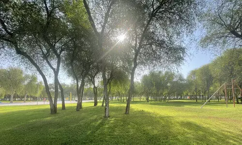 Rak saqr park