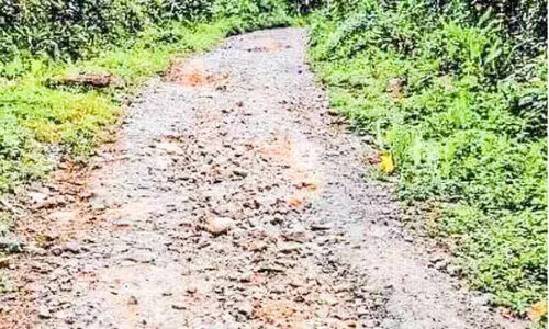 കോ​ഴി​യ​ള റോ​ഡ്