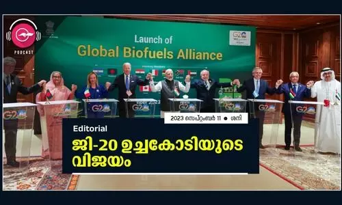 ജി-20 ​ഉ​ച്ച​കോ​ടി​യു​ടെ വി​ജ​യം