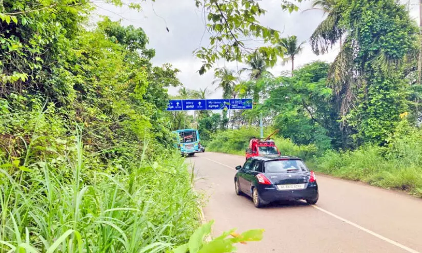 കാടുമൂടി കണ്ണൂർ എയർപോർട്ട് റോഡ്, അനക്കമില്ലാതെ അധികൃതർ കാടുമൂടി കണ്ണൂർ എയർപോർട്ട് റോഡ്, അനക്കമില്ലാതെ അധികൃതർ