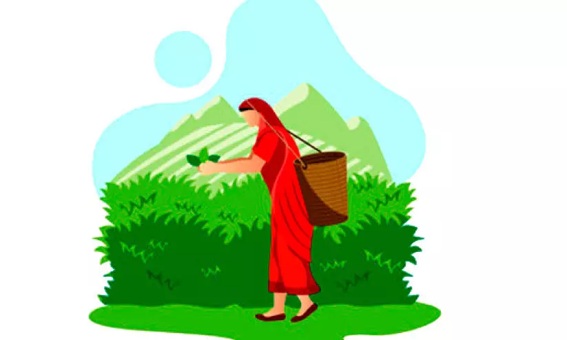 പൂട്ടിയ തോട്ടങ്ങളിലെ തൊഴിലാളികൾക്ക് ഉത്സവബത്ത: ഉറപ്പ് പാഴ്വാക്കായി പൂട്ടിയ തോട്ടങ്ങളിലെ തൊഴിലാളികൾക്ക് ഉത്സവബത്ത: ഉറപ്പ് പാഴ്വാക്കായി