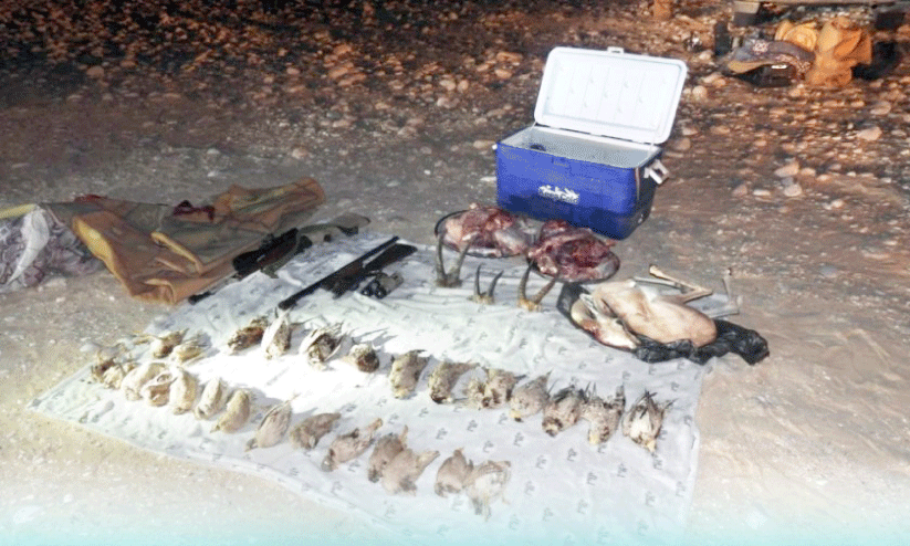 വ​ന്യ​മൃ​ഗ​ങ്ങ​ളെ വേ​ട്ട​യാ​ട​ൽ;    നാ​ലു​പേ​ർ അ​റ​സ്റ്റി​ൽ